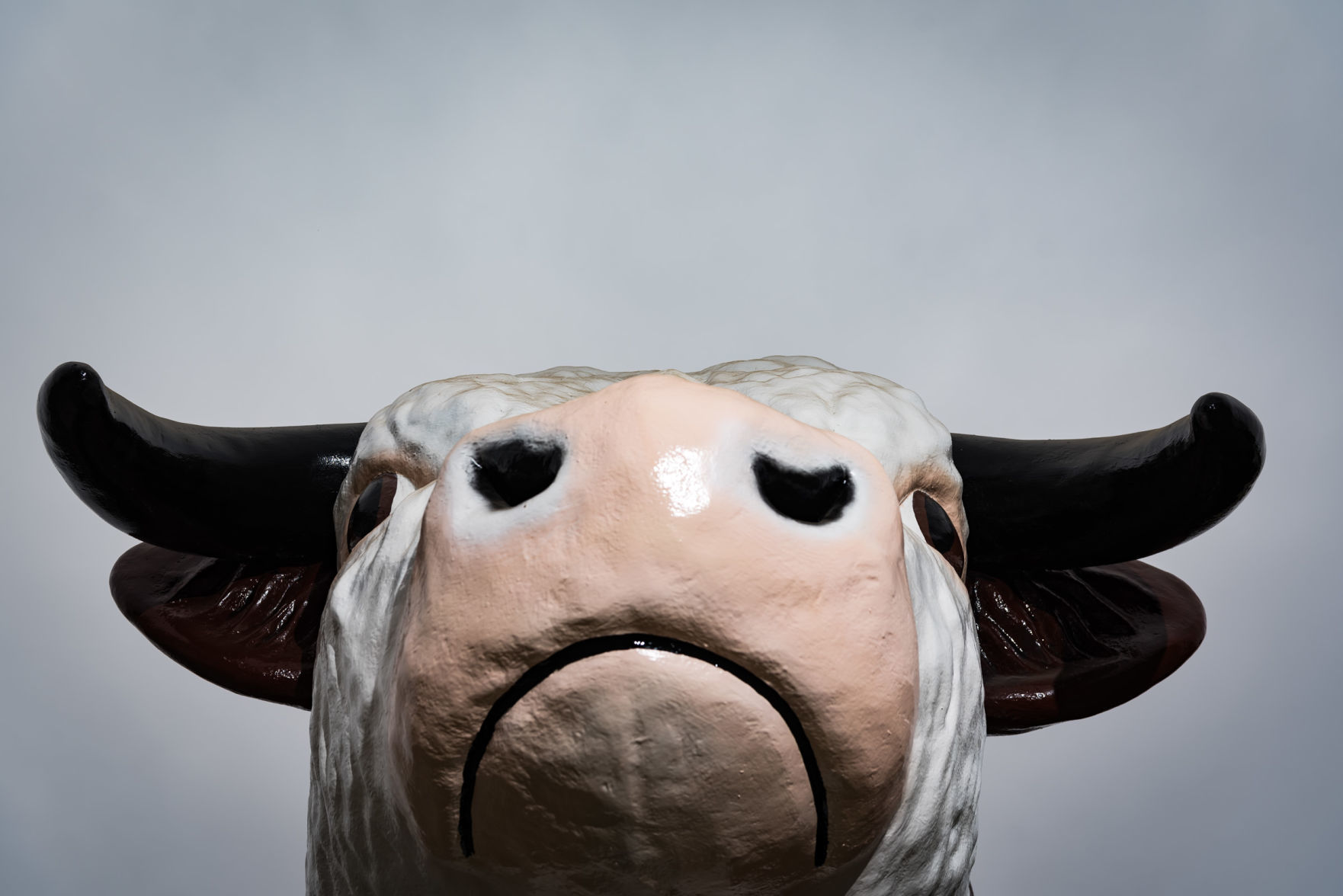 Steve Newsom's Bull Statue